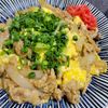 ヴェルの作ってみた!投稿(ご飯が進む!甘辛スパイシー【豚たま炒め】)