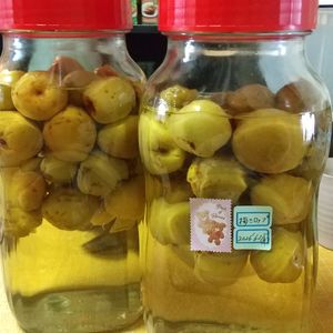 チョロリスの作ってみた!投稿(【最高の爽やかさ！】青梅のシロップ)