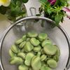 そら・ゆずの作ってみた!投稿(【保存版】知っているようで知らない《基本の空豆ゆで方》)