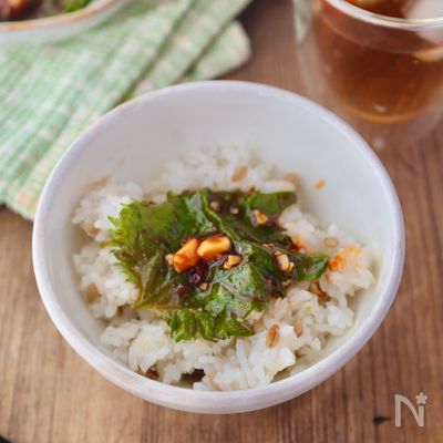 もう余らせない!大葉のキムチ風