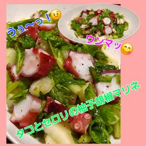 サトちゃんの作ってみた!投稿(うなる旨さ【10分】タコとセロリの柚子胡椒マリネ)