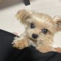 じゅんこ