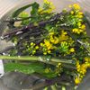 【10分で春副菜♪】紅菜苔の塩麹ナムルの工程2
