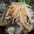 豚ばら肉のレタス巻き