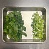 【小松菜の塩昆布炒め】買い足し食材なし♪の工程1