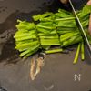 ワンパンで簡単！とろけるチキンの濃厚クリーム煮の工程1