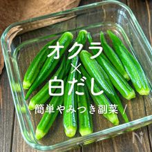 「オクラ×白だし」30選｜簡単やみつき副菜