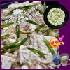 サトちゃんの作ってみた!投稿(爽やかな辛味と旨み♩うま塩麻婆豆腐)