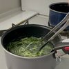 【春雨中華サラダ】定番にしたい副菜♪の工程1