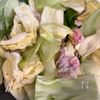 ボリューム満点‼︎ご飯進む♡『厚揚げとキャベツの味噌炒め』の工程1