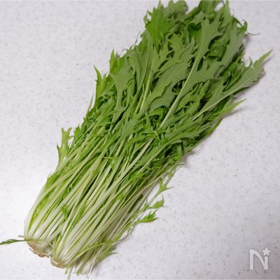 水菜を長持ちさせる 冷蔵保存方法 10日間保存可 By Rinaty りなてぃ レシピサイト Nadia ナディア プロの料理家のおいしいレシピ