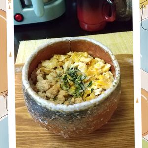 チョロリスの作ってみた!投稿(5分で絶品!【王道の鶏そぼろ丼】簡単・混ぜるだけ♡)