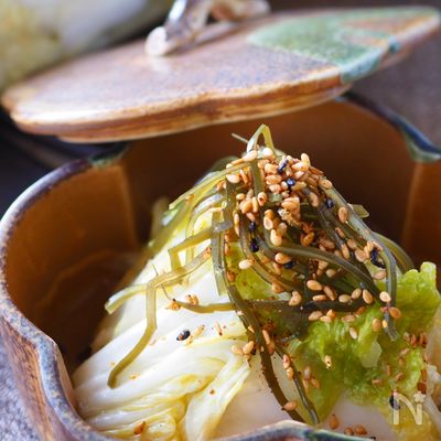 白菜大量消費!ただの白菜漬けじゃない【アレンジ万能発酵白菜】