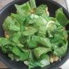 【鶏むね肉と青梗菜の中華風塩炒め】お肉しっとり！あっさり旨いの工程4
