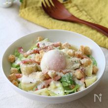 旬の美味しさ♪春キャベツたっぷりサラダまとめ