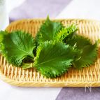 【料理の基本】2週間元気！本当に役立つ大葉の保存方法