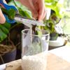 完全無添加【白だし麹】冷たい麺におすすめ♡5分で簡単✨の工程1