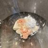 【離乳食完了期〜】ビーフンのおやき【オールインワン離乳食】の工程2