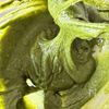 バター不使用！揚げない！焼くまで5分【米粉抹茶ドーナツ】の工程3