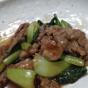 wprの作ってみた!投稿(【豚肉とチンゲン菜の生姜炒め】ご飯が進むおかず！)