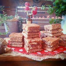 卵焼き器で♪簡単チョコブラウニー♪