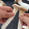 エリンギの肉巻き串の工程1
