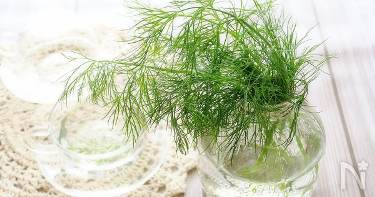 ほんのり甘いハーブ ディル を使ったおすすめレシピ レシピサイト Nadia ナディア プロの料理家のおいしいレシピ
