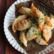 連休に子どもと作ろう！アレンジ餃子まとめ