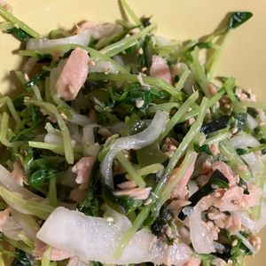 みんこの作ってみた!投稿(お正月太り解消！【豆苗と大根とワカメのツナ和えサラダ】)