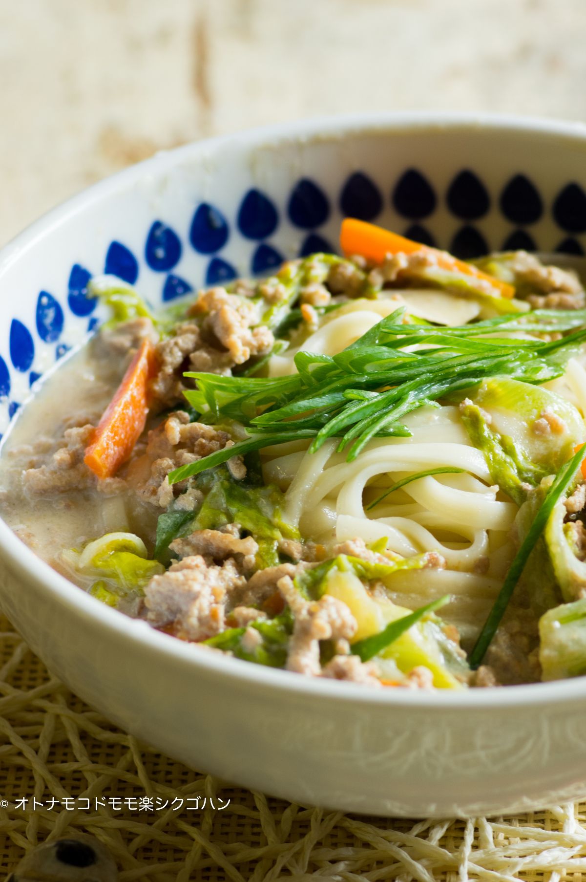 野菜たっぷりチャンポン風豆乳うどん | レシピサイトNadia