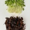 彩りきくらげサラダ♩ごま和え風！かいわれ大根の辛味がポイントの工程1