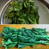 菜の花と新玉ねぎのさっぱりわかめサラダの工程5