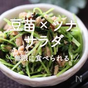 「豆苗×ツナサラダ」30選｜無限に食べられる！