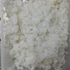 もっくんの作ってみた!投稿(レンジでご飯を炊く!1合分)