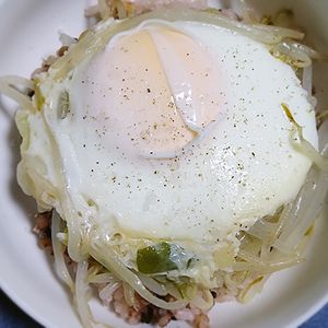 猫の作ってみた!投稿(3分で作れる節約メシ！くたくたもやし丼)