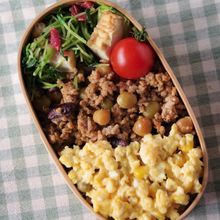 【15分弁当】たっぷりお豆のドライカレー&卵そぼろの2色弁当