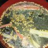 lalilulelonの作ってみた!投稿(【かにかまと玉ねぎのわかめスープ】時短簡単スープ!)