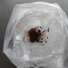 ポリ袋で簡単☆コーヒークッキー。の工程1