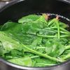 簡単で美味しすぎる!ほうれん草とツナのうまマヨ和えの工程1