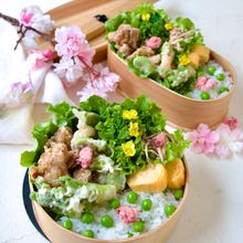 グリンピースご飯のお花見弁当