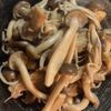 やまの作ってみた!投稿(秋の味覚 "たっぷりきのこのバタポン炒め")