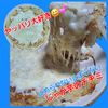 サトちゃんの作ってみた!投稿(【じゃがいもチーズチヂミ】小麦粉不使用)