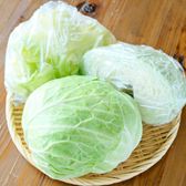 キャベツの保存方法