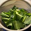 【小松菜と卵の中華風炒め】シンプルうまい!ぱぱっと副菜♪の下準備