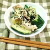 M＊Pの作ってみた!投稿(お箸が止まらない♡きゅうりとささみの中華ごま和え)