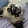 さとちゃん。
