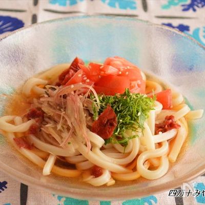 火を使わずに簡単!さっぱり梅味夏の冷やしうどん