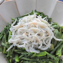 超シンプルなのに美味！春菊の塩炒めしらす乗っけ【おつまみに】