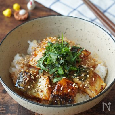 【10分で完成】簡単さばの蒲焼丼