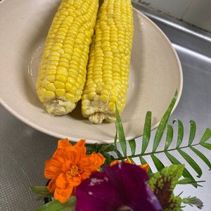 そら・ゆずの作ってみた!投稿(プロに聞いた【とうもろこしの茹で方】)